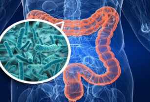 microbiota-intestinal