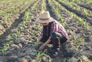 tecnología-en-la-producción-de-alimentos