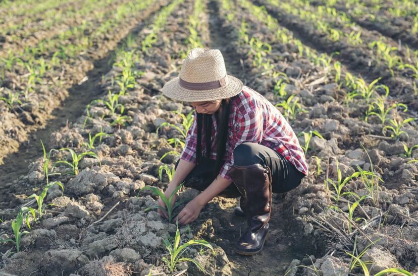 tecnología-en-la-producción-de-alimentos