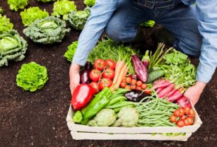 tendencias-en-alimentación-y-agricultura