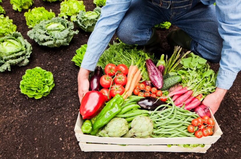 tendencias-en-alimentación-y-agricultura
