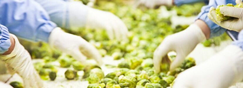 Certificaciones-de-seguridad-alimentaria