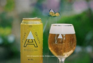 andes-miel-cerveza