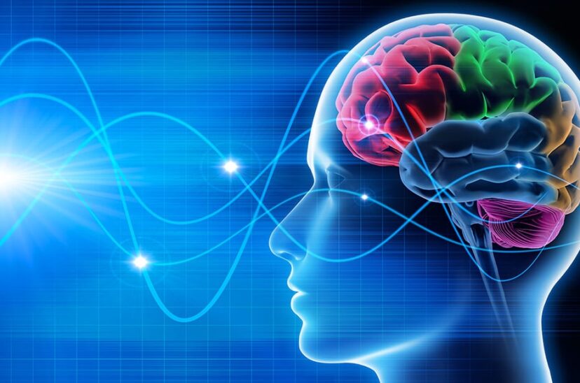 neuromarketing