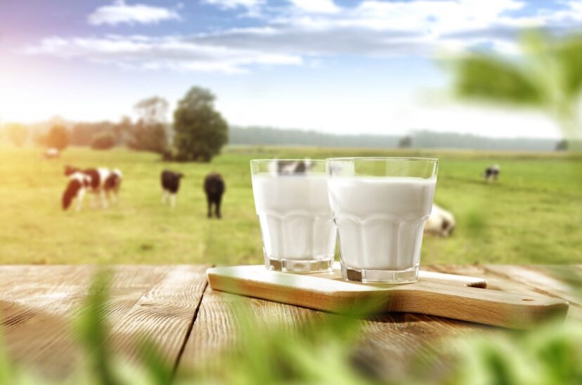 producción-sustentable-en-la-industria-láctea