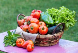 relación-entre-la-alimentación-y-el-medio-ambiente