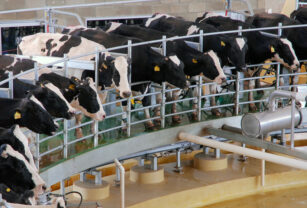 Danone trabaja en reducir sus emisiones