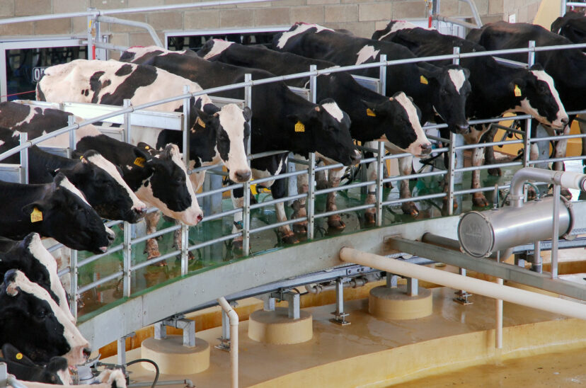 Danone trabaja en reducir sus emisiones