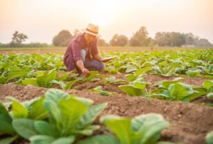 sustentabilidad-y-economía-circular