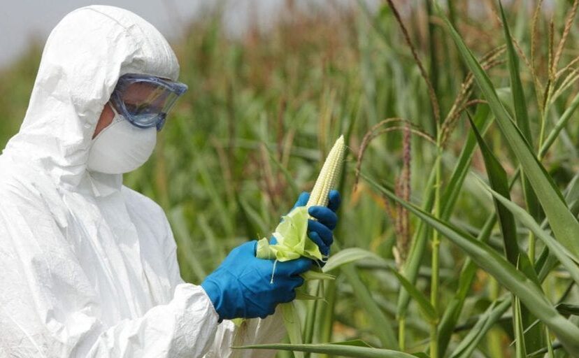 Biotecnologia-en-la-agricultura