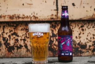 Cerveza No Save Point