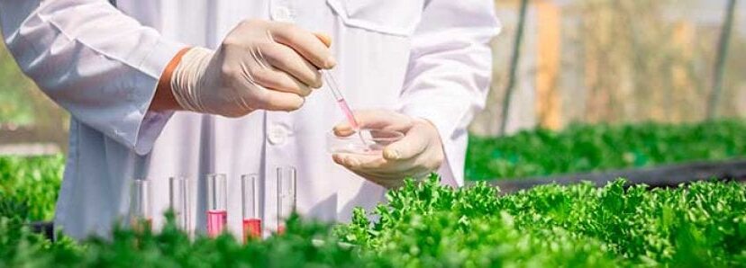 Herramientas-de-modificación-genetica