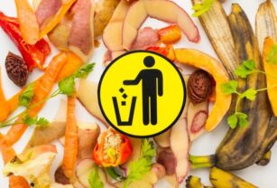 alérgenos-desperdicio-alimentario
