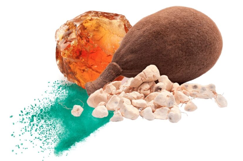 Nexira Acacia Ingredientes