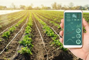 agrifood-2021
