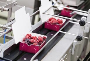 envases alimentarios