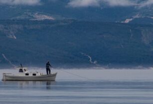 pesca-sustentable