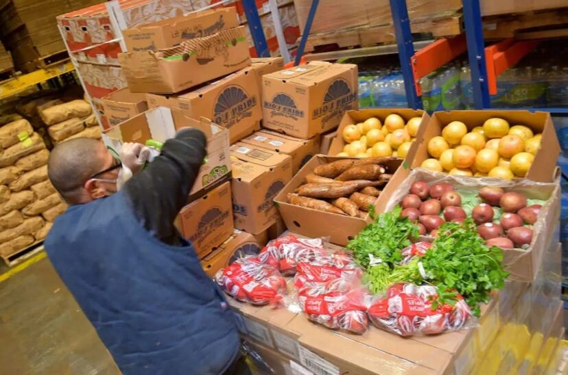 suministro-de-alimentos