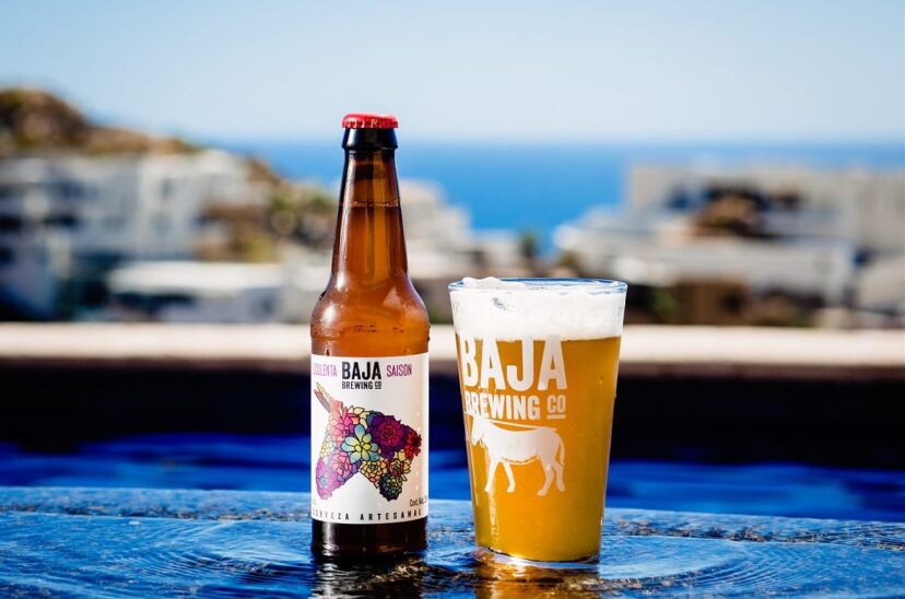 Baja-Brewing-Suculenta