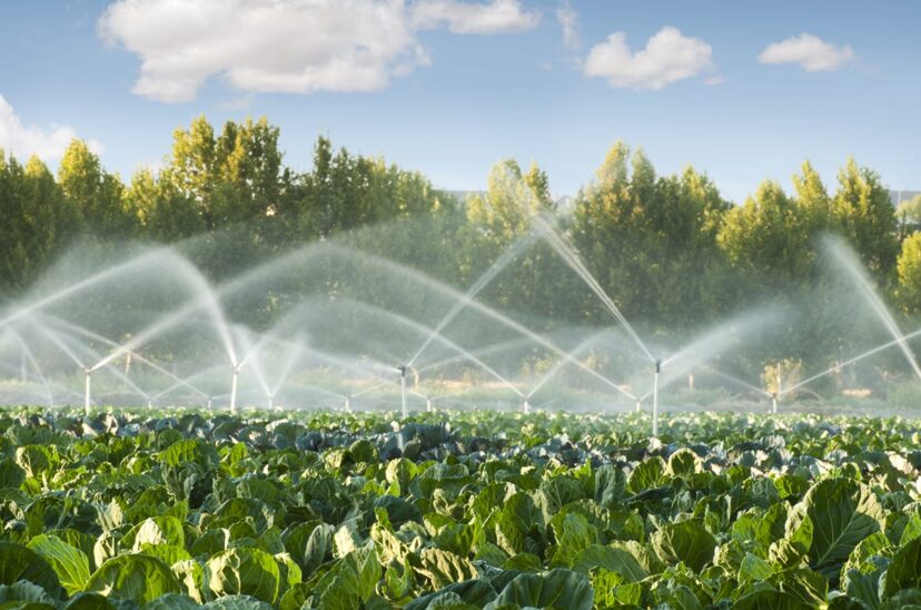 agua en la agricultura