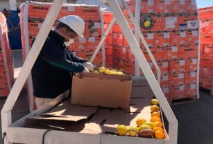 prácticas-de-higiene-distribución-de-alimentos