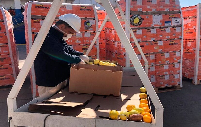 prácticas-de-higiene-distribución-de-alimentos