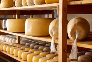 queso-parmesano
