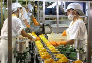 sistemas alimentarios-gases-efecto-invernadero1