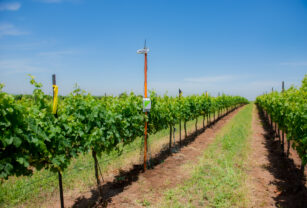 agricultura-inteligente