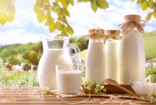 día-mundial-de-la-leche