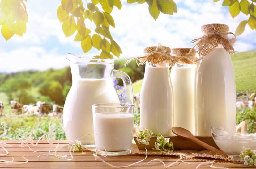 día-mundial-de-la-leche