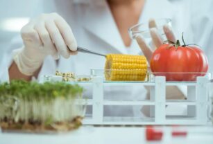 nutrición-industria-alimentaria