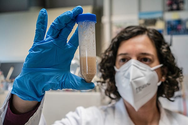 Biosensor-detector-gluten