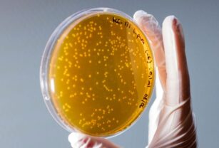 Microbiología