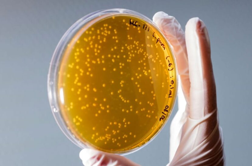 Microbiología
