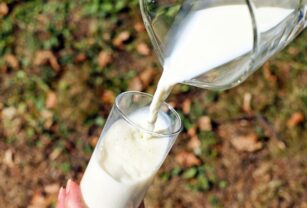 día-mundial-leche