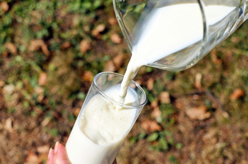 día-mundial-leche