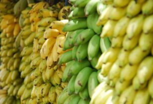 fruta-inteligencia-artificial