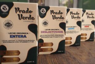 leche-prado-verde