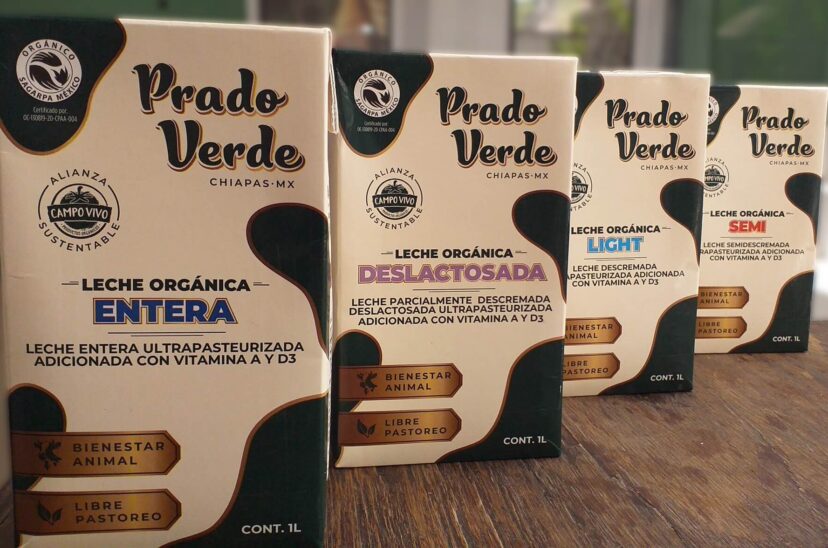 leche-prado-verde