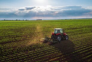 sector-agropecuario-en-México