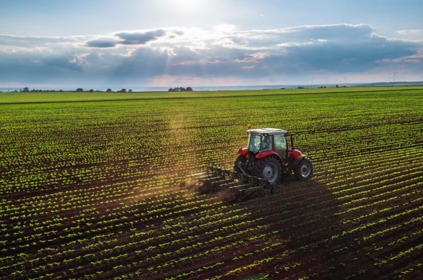 sector-agropecuario-en-México