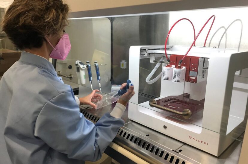Bioimpresión3D en alimentos