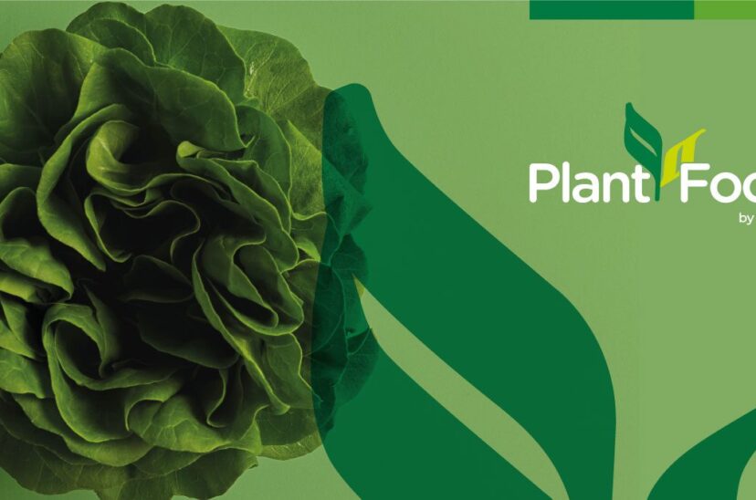 Grupo Saporiti Lanza Plant Foods 2021