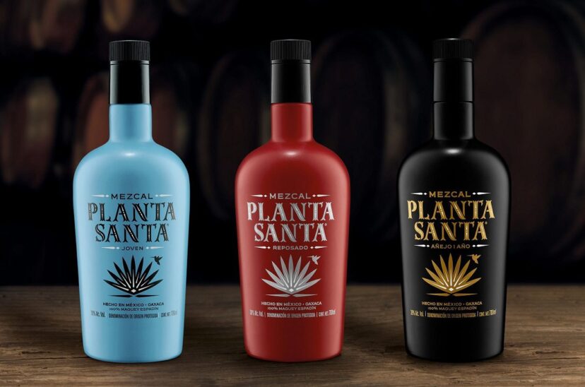 mezcal Planta_Santa