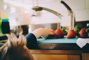 nutrientes-en-la-alimentación