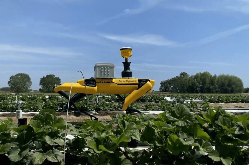 Corteva Agriscience y su robot Annie