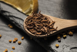 insectos-comestibles