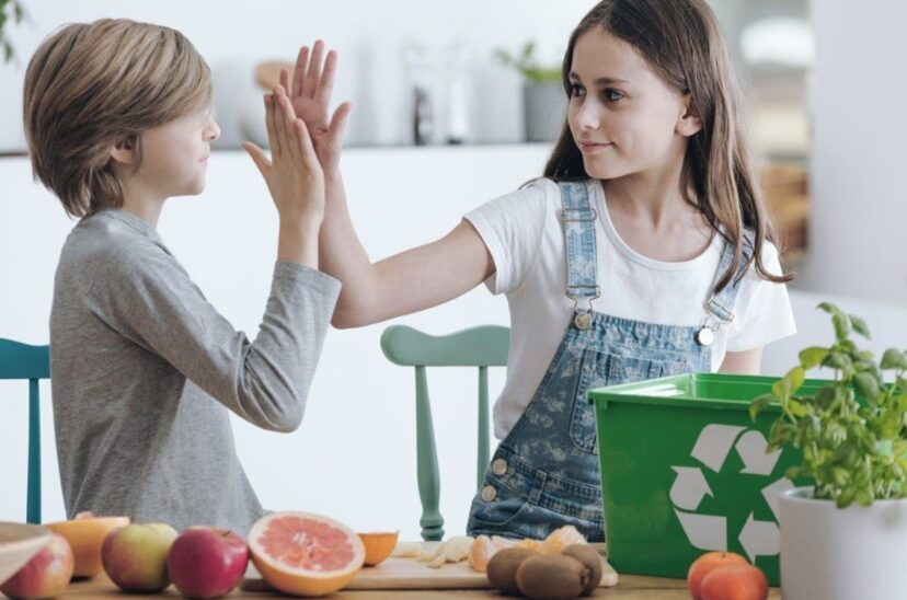 Cuidado del medio ambiente