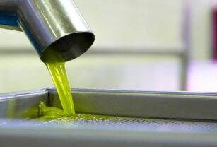 Extracción en frío del aceite de oliva